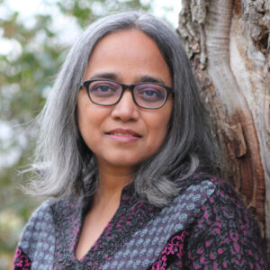 Vandana Singh, Climate Lit